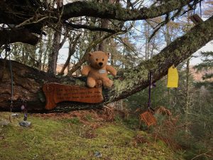 Adam's Epic Adventure – The Great Escape!